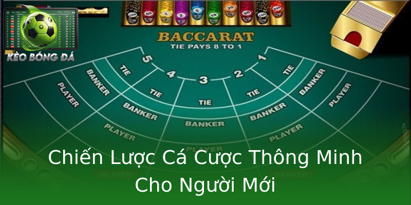 Chiến Lược Cá Cược Thông Minh Cho Người Mới Chiến Lược Cá Cược Thông Minh Cho Người Mới
