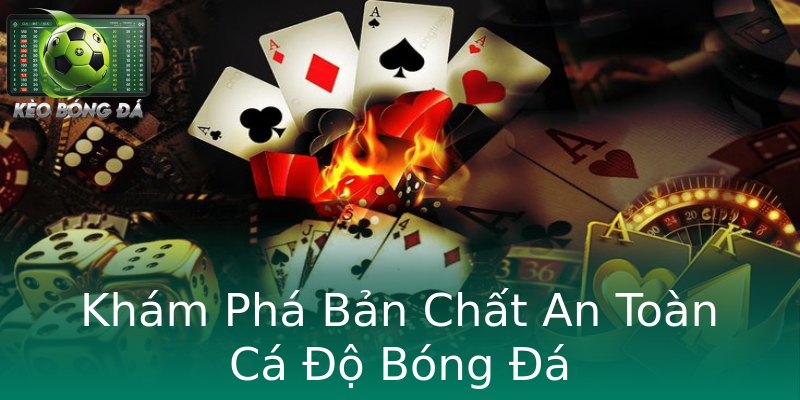 Khám Phá Bản Chất An Toàn Cá Độ Bóng Đá Khám Phá Bản Chất An Toàn Cá Độ Bóng Đá