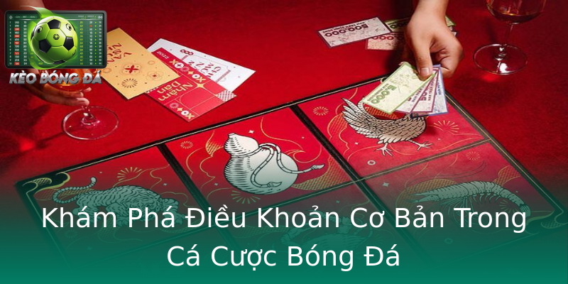 Khám Phá Điều Khoản Cơ Bản Trong Cá Cược Bóng Đá Khám Phá Điều Khoản Cơ Bản Trong Cá Cược Bóng Đá